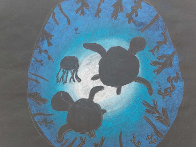 505583946_1232511547883351_1416508358381912118_n