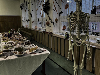 314030001_687190889496561_1306111700302551130_n