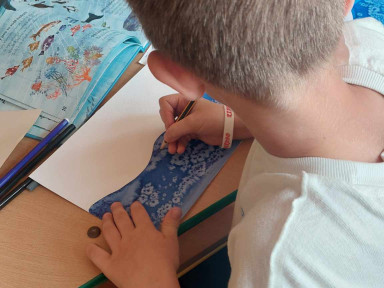 508459126_902844768677054_4453361273545364370_n