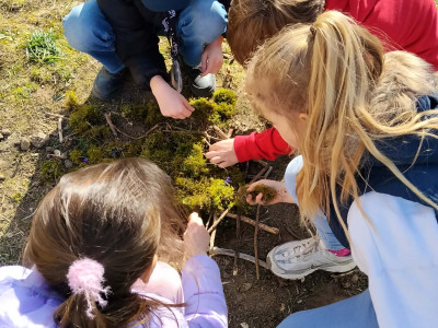 att.rhx1RlayZRjGrEQZyF3d4Rv_C2zqwZC4mGPBHfSgf40