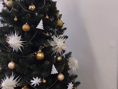 323805491_1359377554895891_1747496354190022419_n