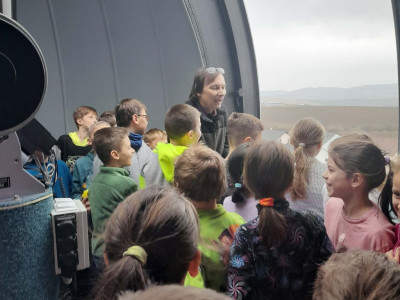 29506869-aeb6-4cab-bc90-615866527ee1