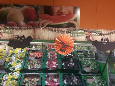 312145445_1162367491040743_852795901752588416_n