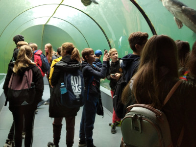 IMG_20220927_091319_1