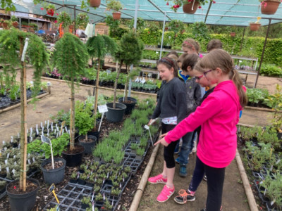 6D419F53-75AA-43F5-AA66-AF9DF3E84B8B